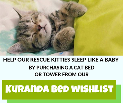 Donate Kuranda Shelter beds